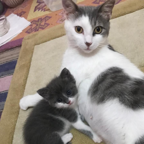 Princess and her baby