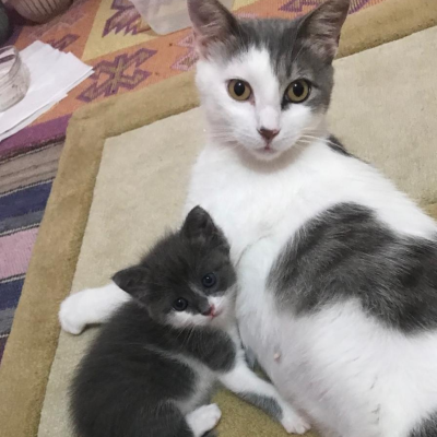 Princess and her baby