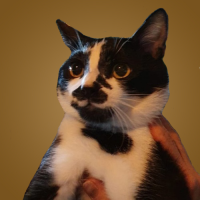 Biyikli Animal Rescue