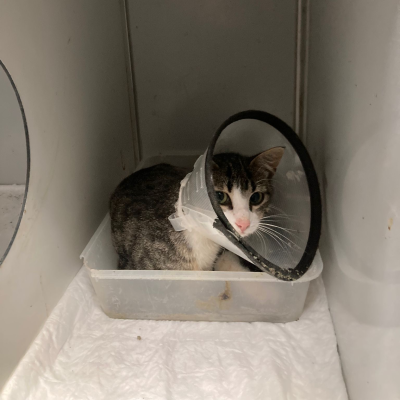 Kelly (Adopted, she is in Münich now:) )